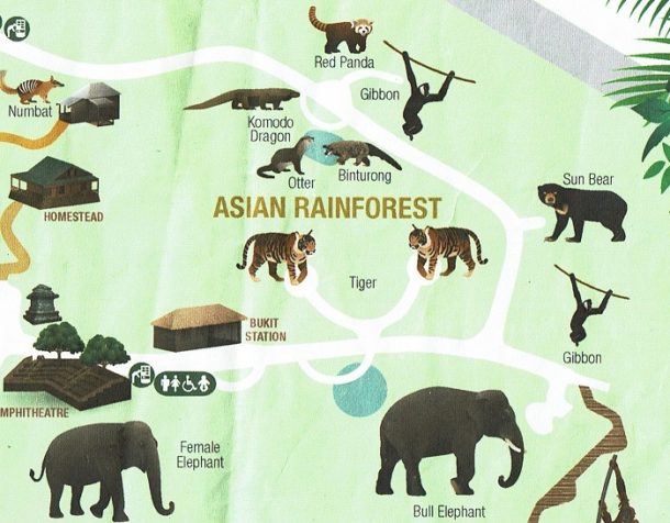 Asian Rainforest